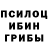 Галлюциногенные грибы Psilocybine cubensis Ruper Blog