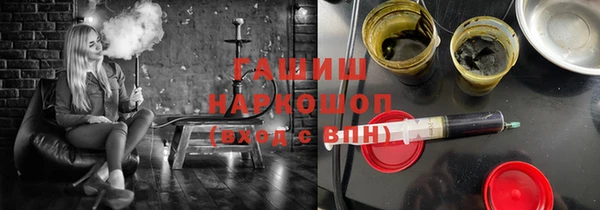 амф Гусев
