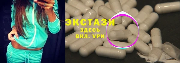 амф Гусев