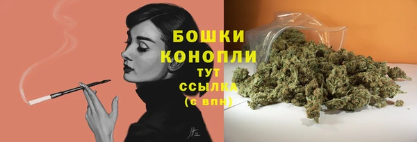 амф Гусев